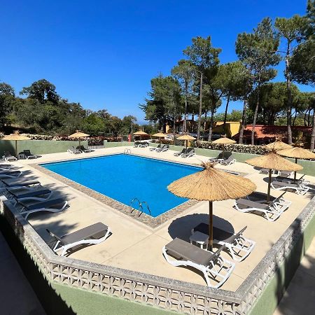 Apartament Domaine Des Mimosas Argelès-sur-Mer Zewnętrze zdjęcie